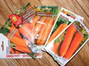 Лучшие сорта моркови голландские: посадка и уход