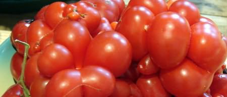 Фото сортов томатов